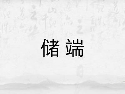 储端 储端