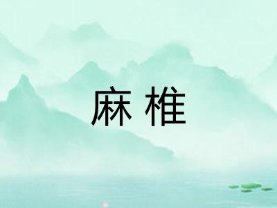 麻椎 麻椎