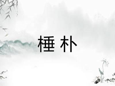 棰朴 棰朴