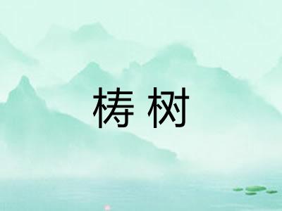梼树 梼树