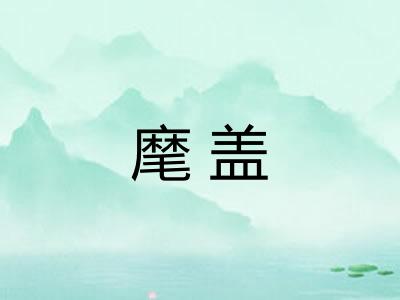 麾盖 麾盖
