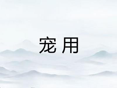 宠用 宠用