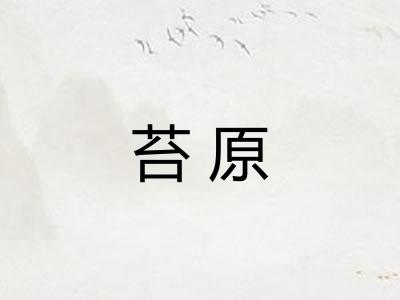 苔原 苔原