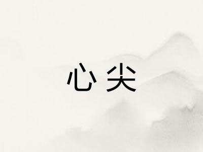 心尖 心尖