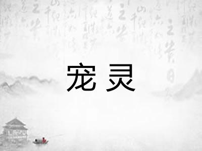 宠灵 宠灵