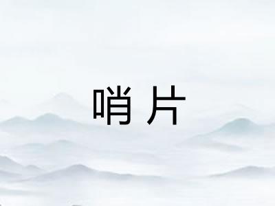 哨片 哨片
