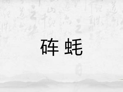 砗蚝 砗蚝