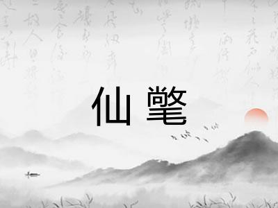 仙氅 仙氅