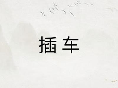 插车 插车