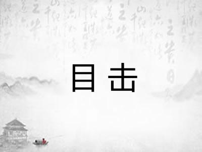 目击 目击