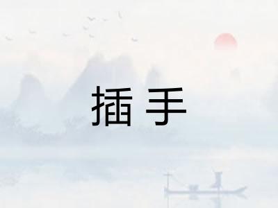 插手 插手
