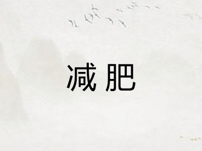 减肥 减肥