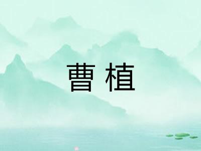 曹植 曹植
