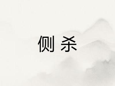 侧杀 侧杀