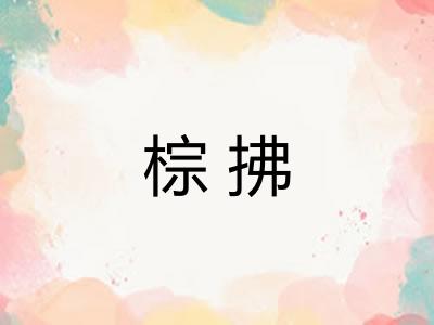 棕拂 棕拂
