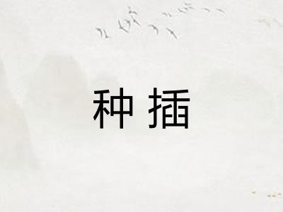 种插 种插