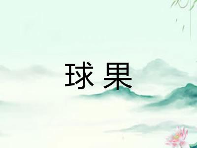 球果