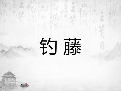 钓藤 钓藤