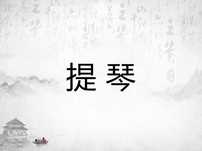 提琴 提琴