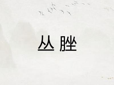 丛脞 丛脞