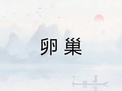 卵巢 卵巢