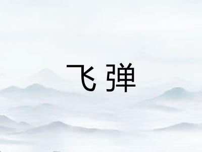 飞弹 飞弹