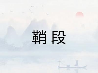 鞘段 鞘段