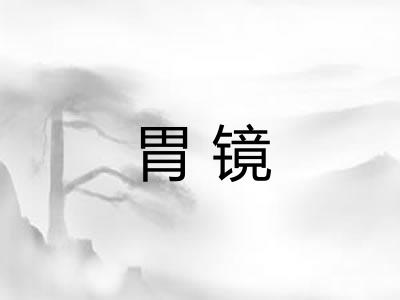 胃镜 胃镜