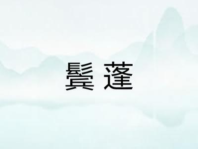 鬓蓬 鬓蓬