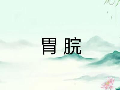 胃脘 胃脘