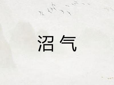 沼气 沼气