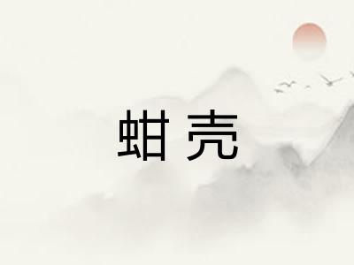 蚶壳 蚶壳