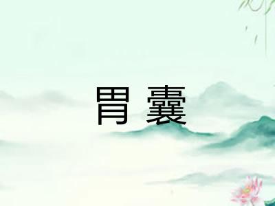胃囊 胃囊