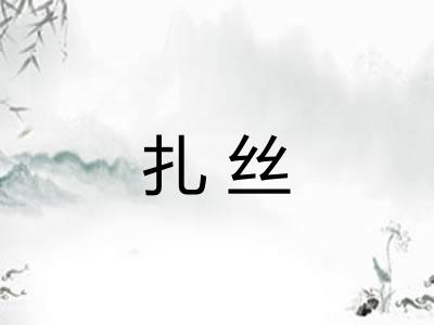 扎丝 扎丝