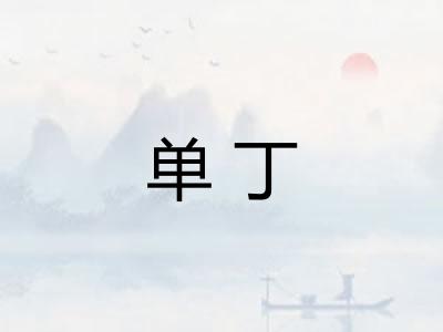 单丁 单丁