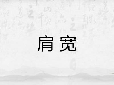 肩宽 肩宽