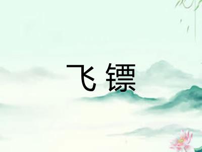 飞镖 飞镖