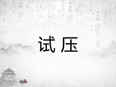 试压 试压