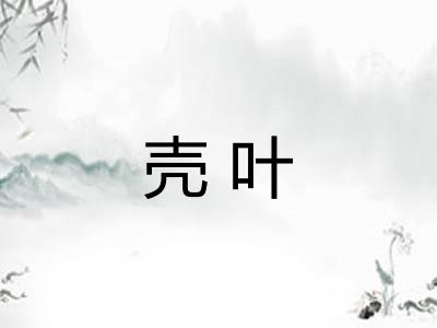 壳叶 壳叶