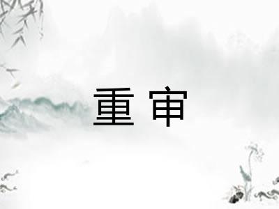 重审 重审