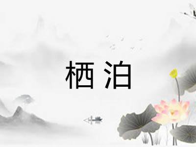 栖泊 栖泊