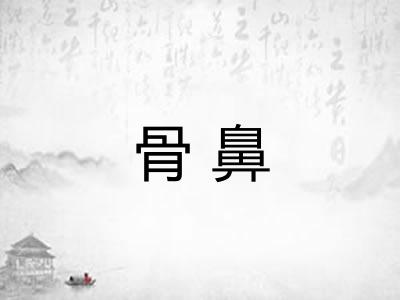 骨鼻 骨鼻