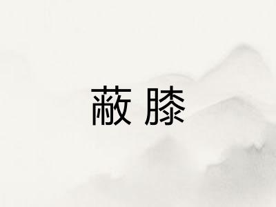 蔽膝 蔽膝