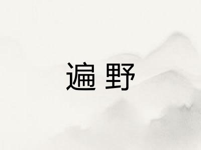 遍野 遍野