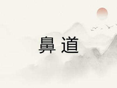 鼻道 鼻道