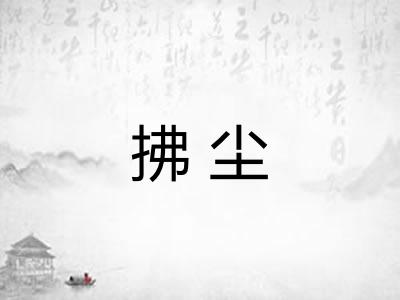 拂尘 拂尘