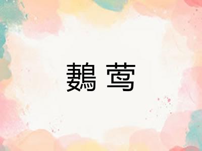 鶈莺 鶈莺