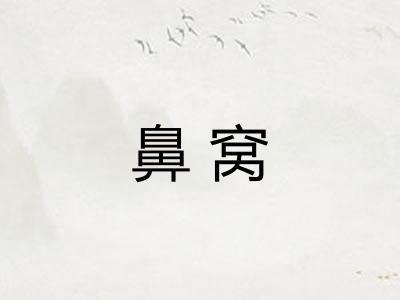 鼻窝 鼻窝