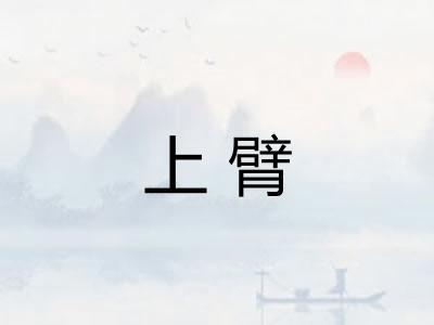 上臂 上臂