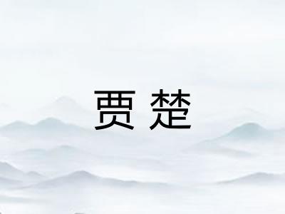 贾楚 贾楚